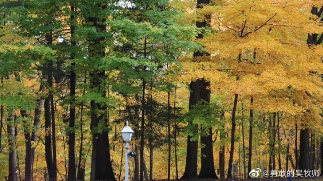 快手点赞网站平台0.5元：社交互动背后的流量密码